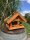 DARLUX Rechteckiges Vogel Futter Haus  Futterstelle Holz Vogelhaus Braun / Grün