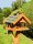 DARLUX Rechteckiges Vogel Futter Haus Holz Vogelhaus + Ständer Braun / Grün