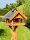 DARLUX Rechteckiges Vogel Futter Haus Holz Vogelhaus + Ständer Braun / Blau